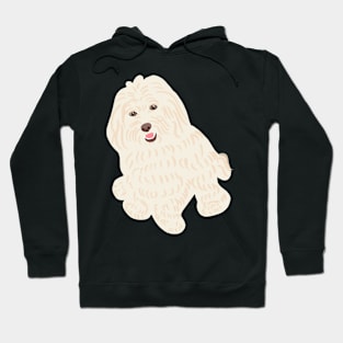 Maltipoo Smiling Sitting Hoodie